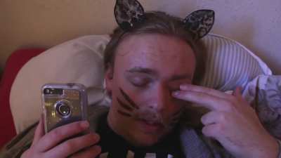 Cats are cute