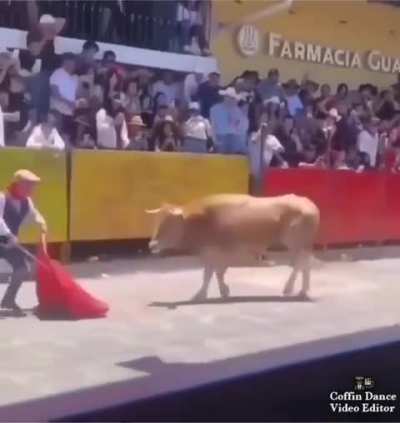 You Mess with the Bull...