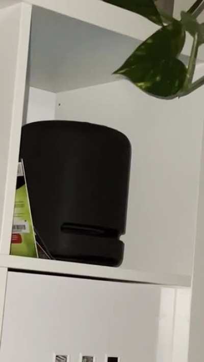 Alexa knows what&rsquo;s up