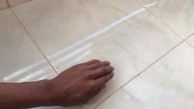 Adivina adivinador