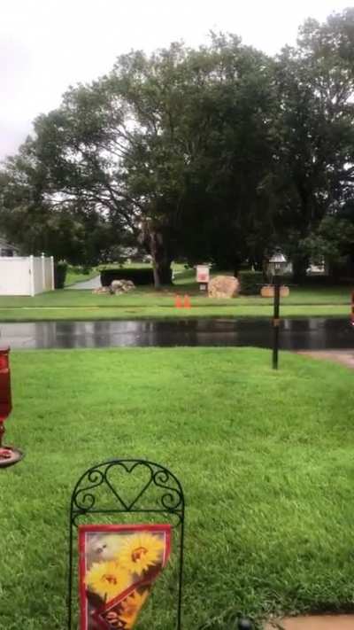 gotta love that florida rain! i&rsquo;m staying (safely) out of state with some family and i&rsquo;m not used to summer rain!