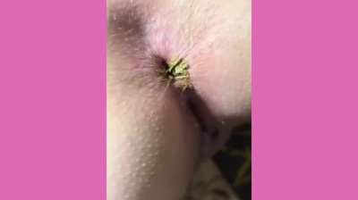 lick my dirty booty