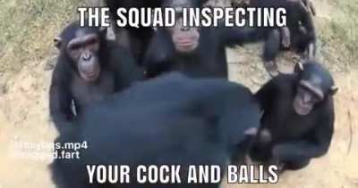 3 am meme