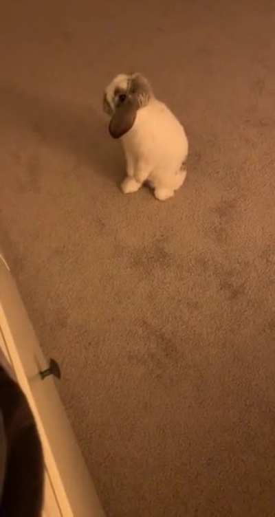 Mom give me attention