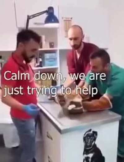 The horror