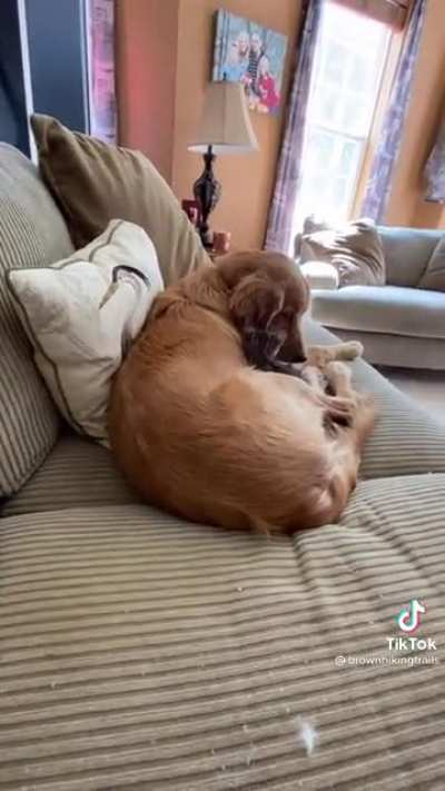 Monkey and Kai