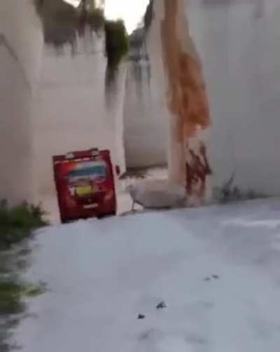 I thought it was a toy