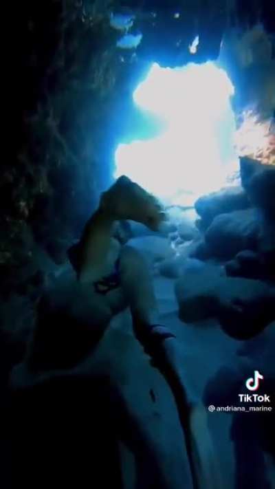 Always face your fears