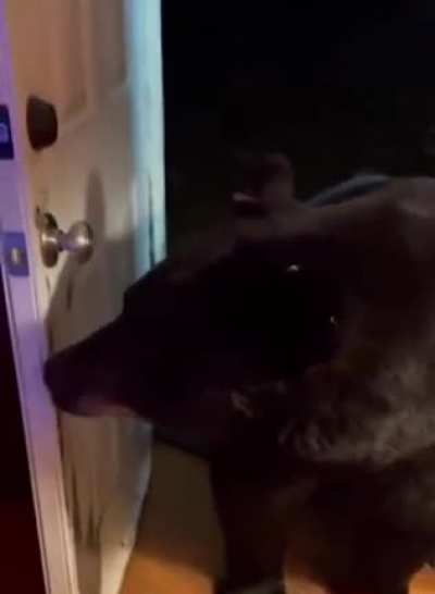 To find food in the House