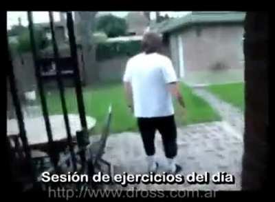 despierta dross
