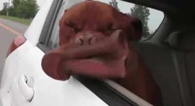 MRW i open the window while going down the freeway