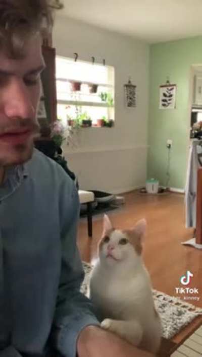 Get you someone who looks at you the way this cat looks at his talented man