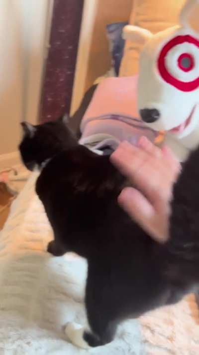 Onyx said no more
