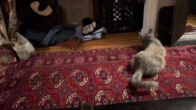 A jump scare