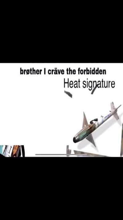 We know what happened to the missle🗿