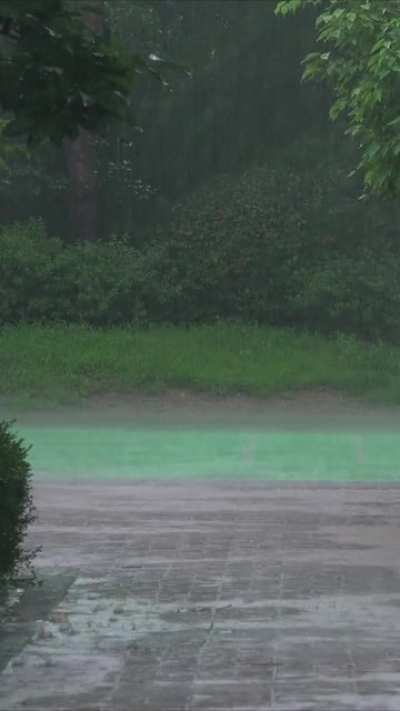 The day it Rained