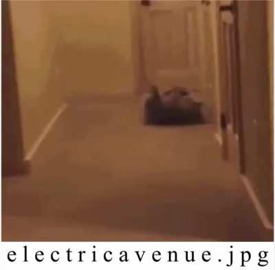 Enjoy