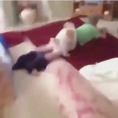 Cursed_stepdog