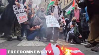 Pro-Palestine Protesters Burn American flag chanting "Genocide Joe! Has got to go!" during dueling rallies outside of AIPAC headquarters in NYC. I thought it was against Zionism why would they burn the American flag?
