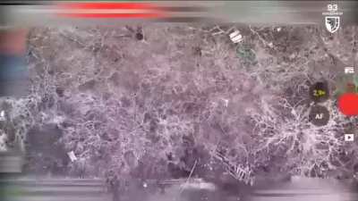 Monthly report by the 93rd Mechanized Brigade of Ukraine [03.2025]