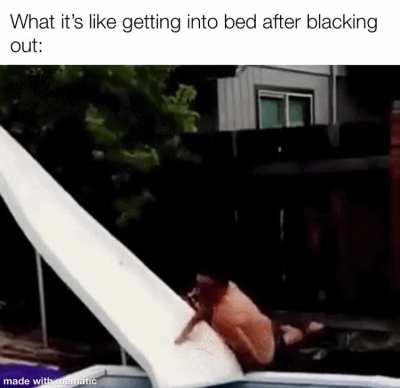 The ground&rsquo;s comfy