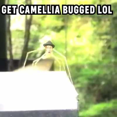Cammelia :D