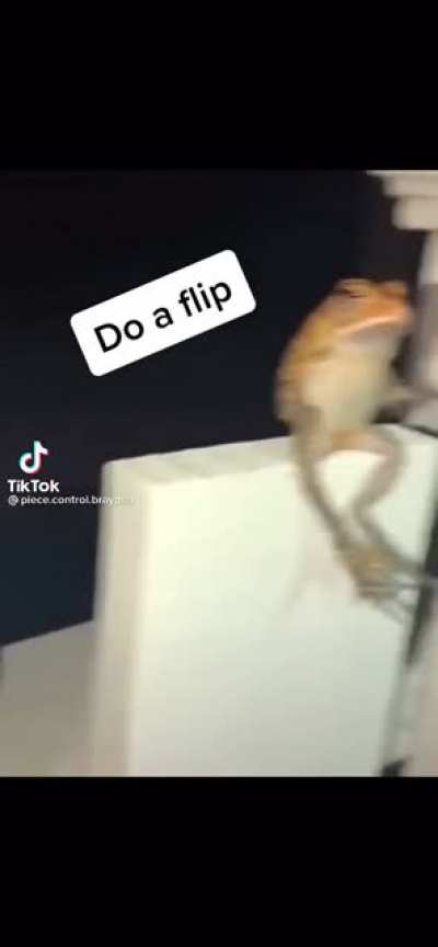 Did a flip
