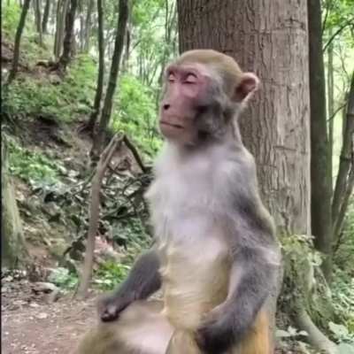 I can’t hit that level of Zen yet.