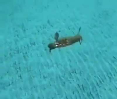 Crabocopter