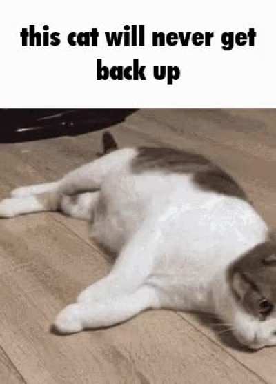 That cat got deprezzion