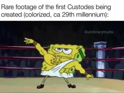 And that&rsquo;s how Kitten was born