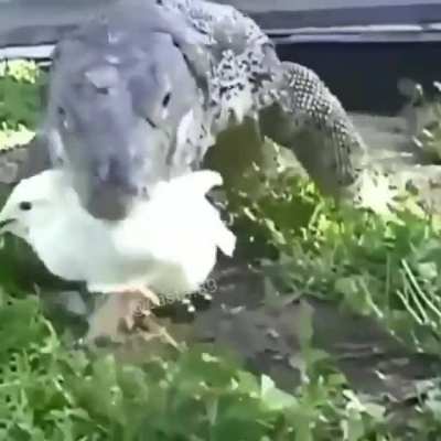 Yo digo que le den upvote por si vicio vuelve xd