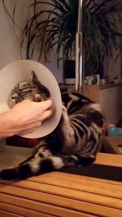 Happy to help.