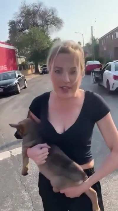 Crazy abusive Karen throws her puppy at guy, he then rescues the puppy