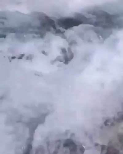 Man Nearly Drowns After Trying To Swim Into Cave For Tiktok