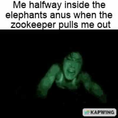 elepant