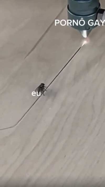 Eu que fiz,espero que odeie