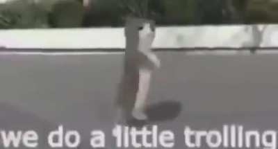 Trolling
