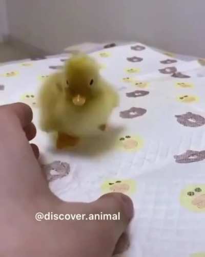 "Oh hey, that spot is for me?"