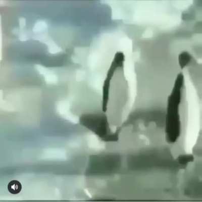 Penjin
