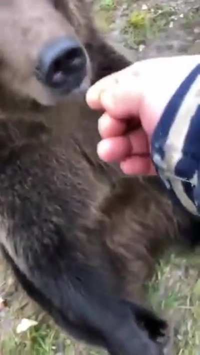 Meanwhile in Russia..