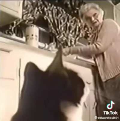 POV:Talis n&atilde;o faz a live