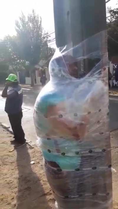 Caterpie found in the wild! / El mejor pa&iacute;s de Chile defendiendo a sus compatriotas chilenos