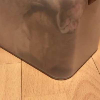 If is fits...