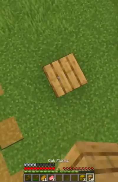 wtf