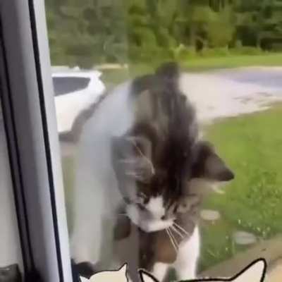 Эй, хозяин, открывай, я пожрать принес!
