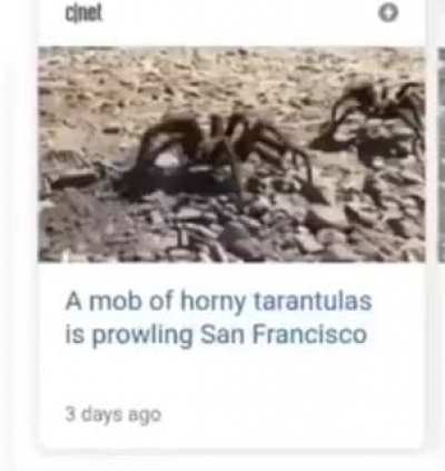 Very nice