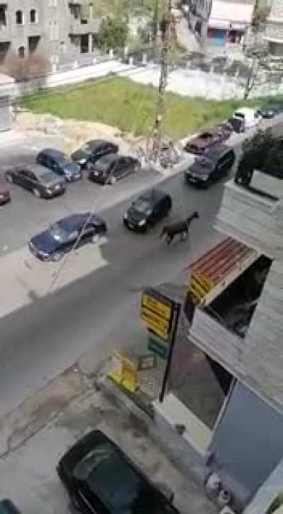 Well that didn&rsquo;t end well.