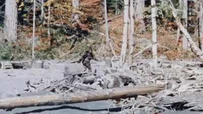 Stabilized and cleaned version of the Bigfoot.