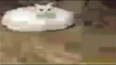 him